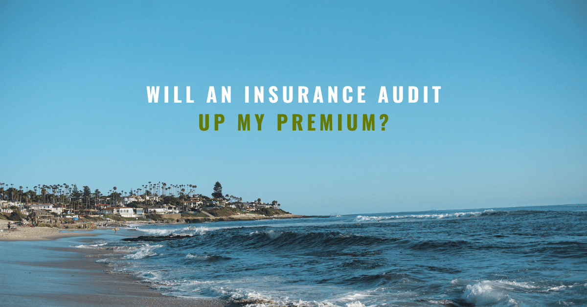 ReProject  Life Insurance Policy Audit