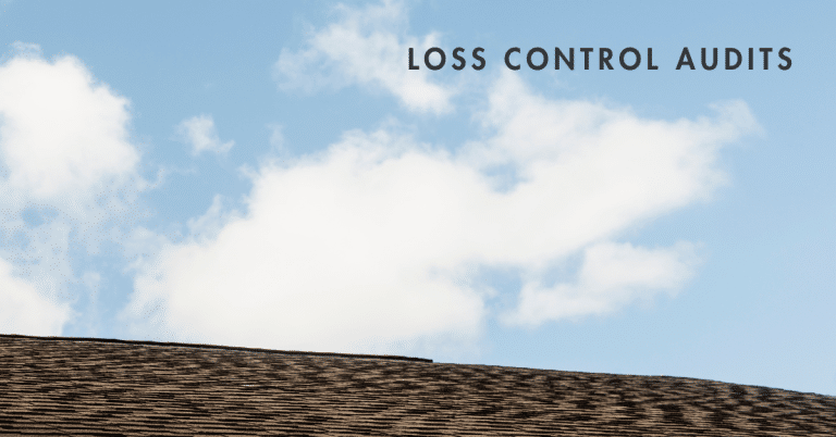 Loss Control Audits