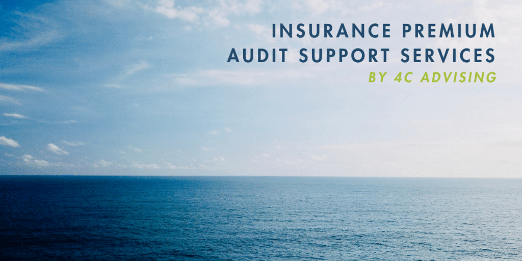 insurance audit support services (1)